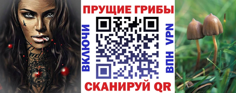 Псилоцибиновые грибы Psilocybine cubensis  Наро-Фоминск 